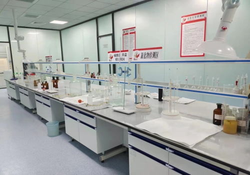 河北邢臺 “小巨人”成香餑餑，領(lǐng)跑產(chǎn)業(yè)技術(shù)開發(fā)加速度